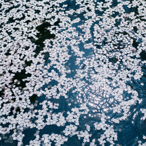 黑人巨大中出し21歳
